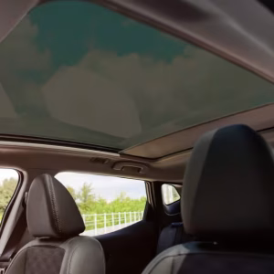 GraphicPro Sunroof PPF